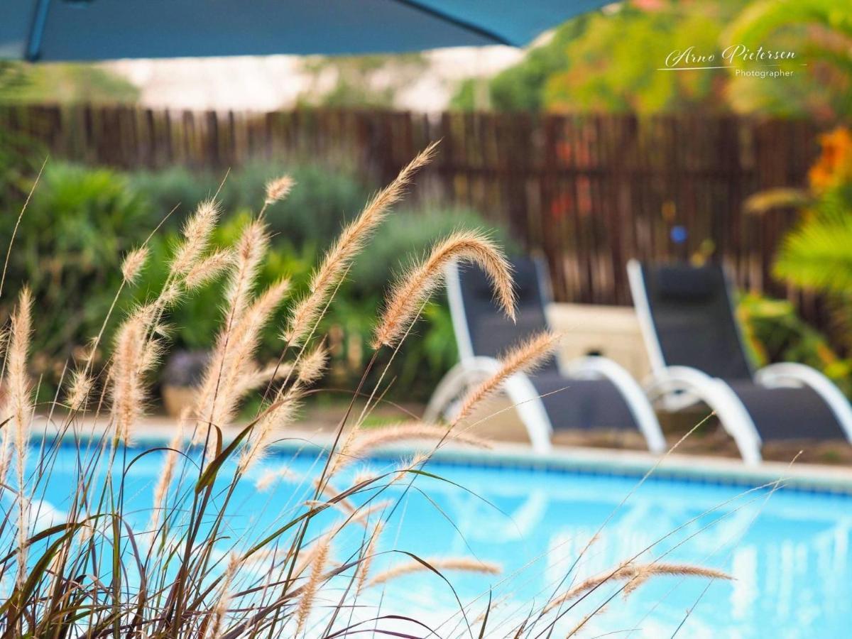 הילקרסט Fever Tree Guesthouse מראה חיצוני תמונה