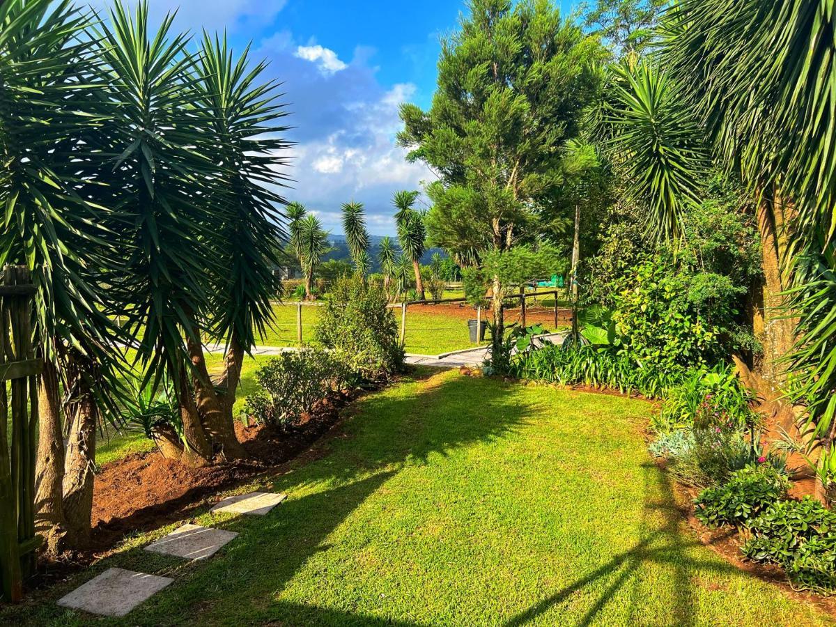 הילקרסט Fever Tree Guesthouse מראה חיצוני תמונה